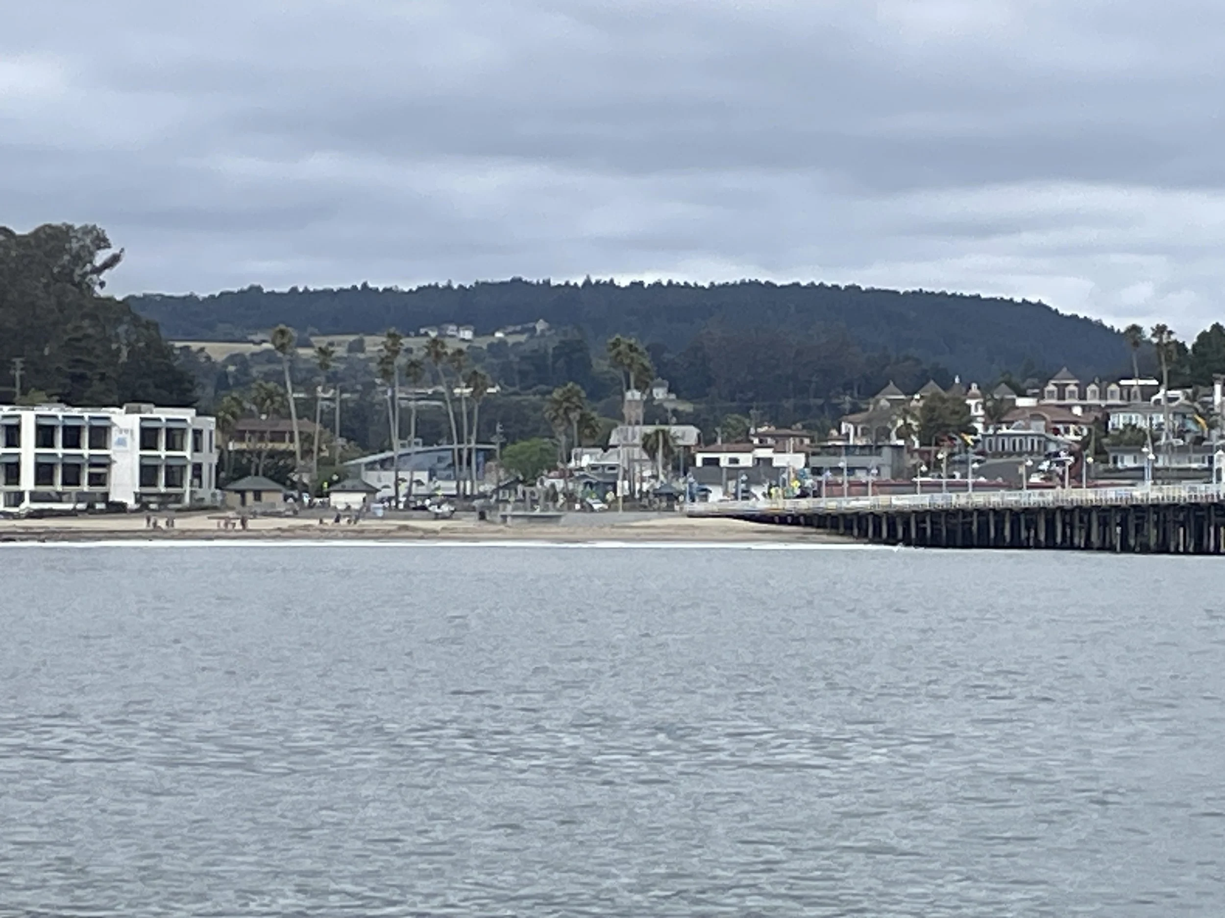 IMG_3574.JPG