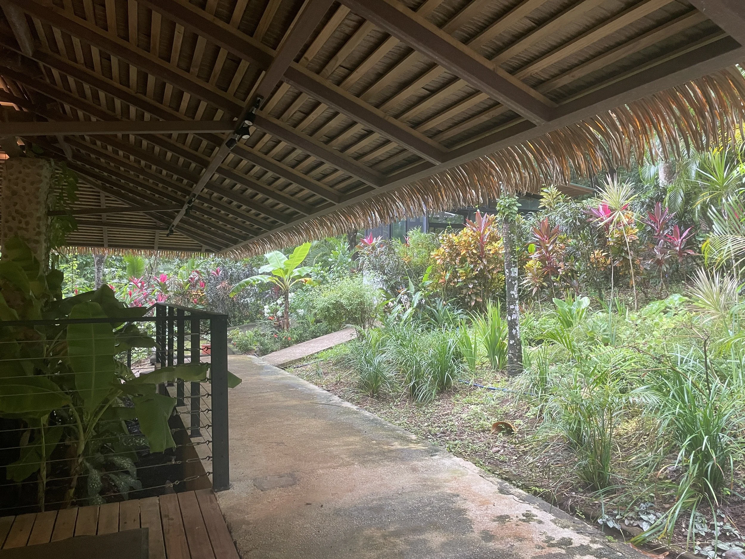 Coming upon the dining area