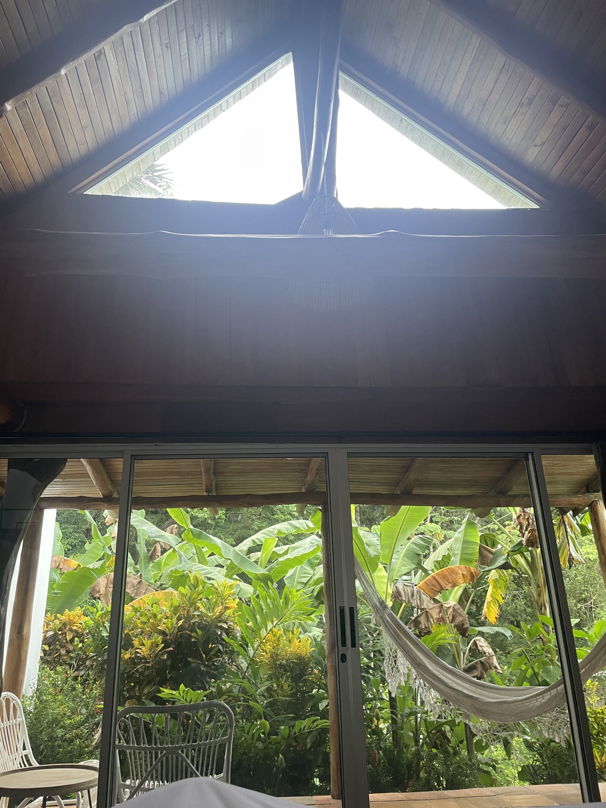 Morning view