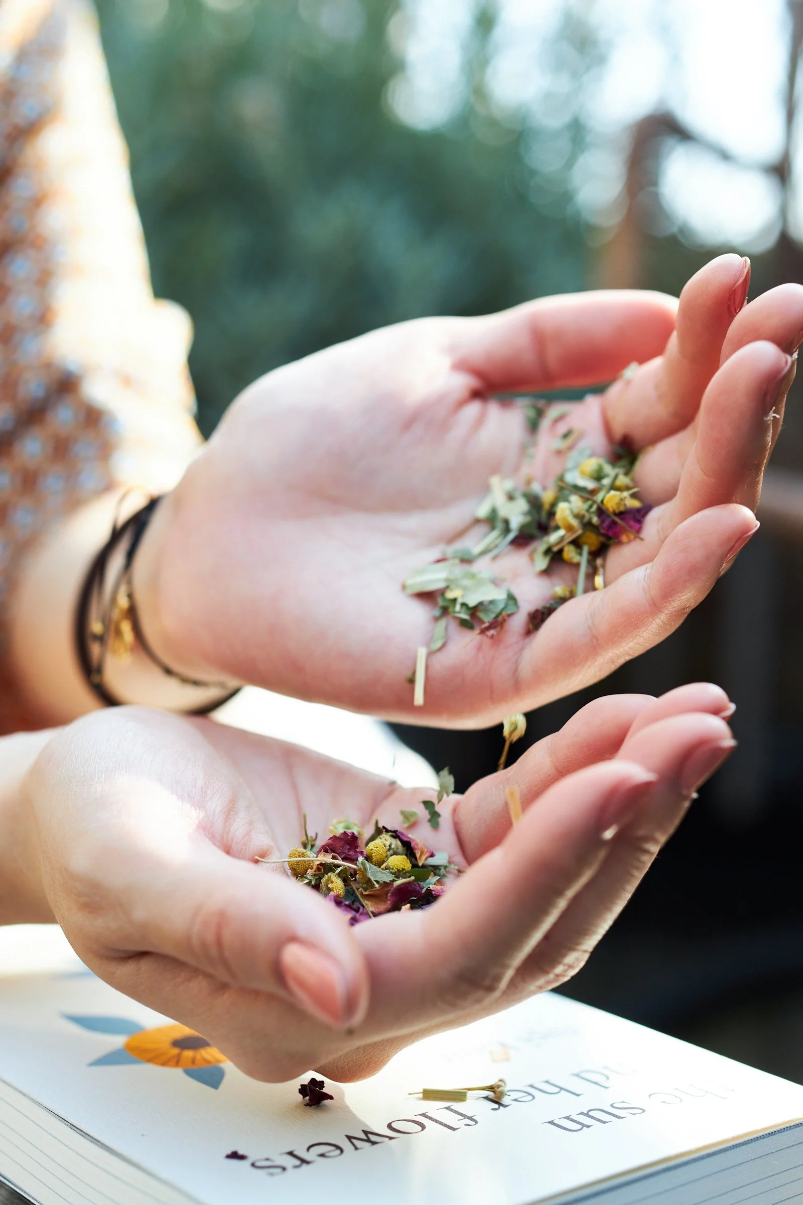 Canton shoot 20200914.155758.jpg