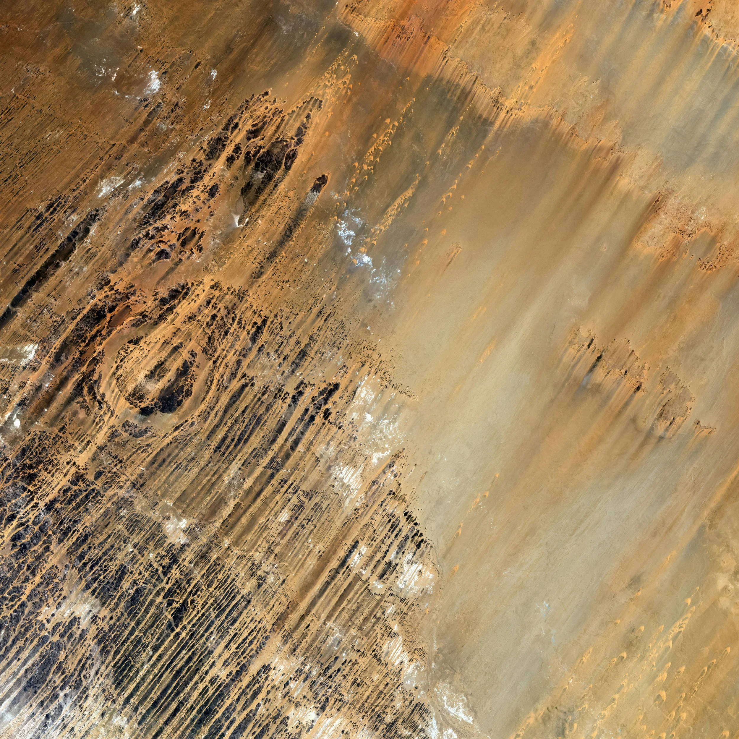 The Treatment of Trauma - April 24-26, 2026 - Berkeley, CA (Student)