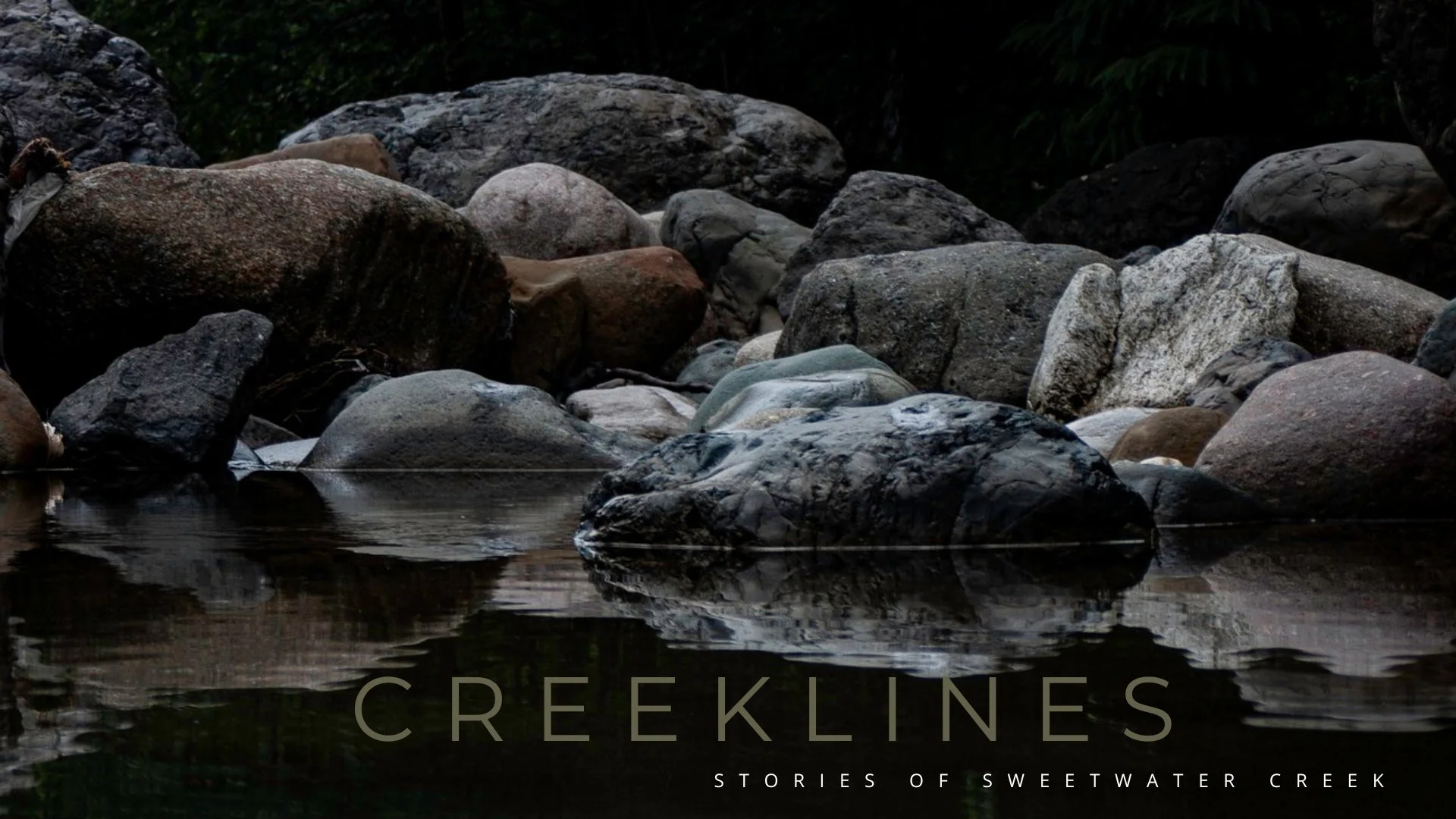 Creeklines: Stories of Sweetwater Creek
