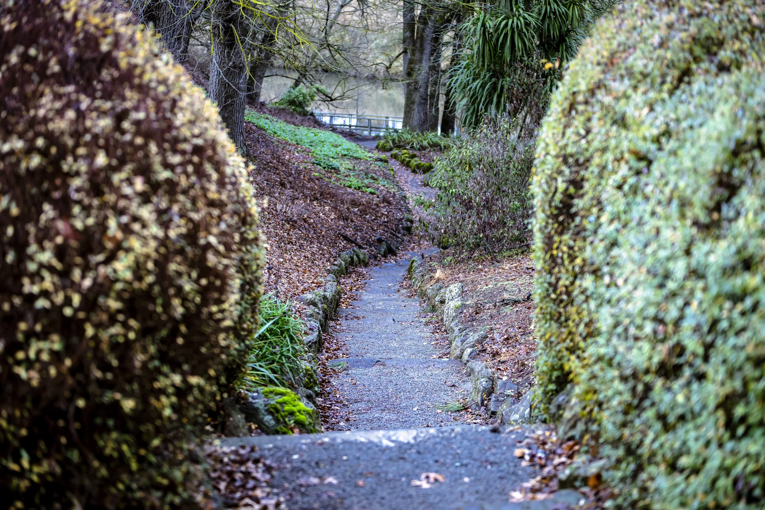 Kyneton_Botanical_004.jpg