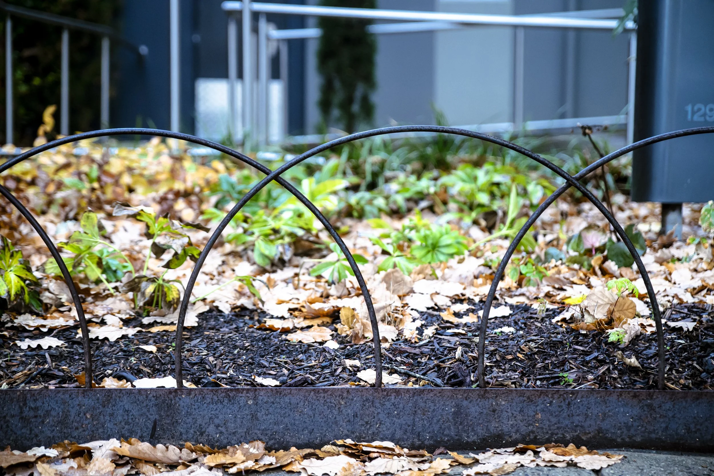 Kyneton_Botanical_003.jpg