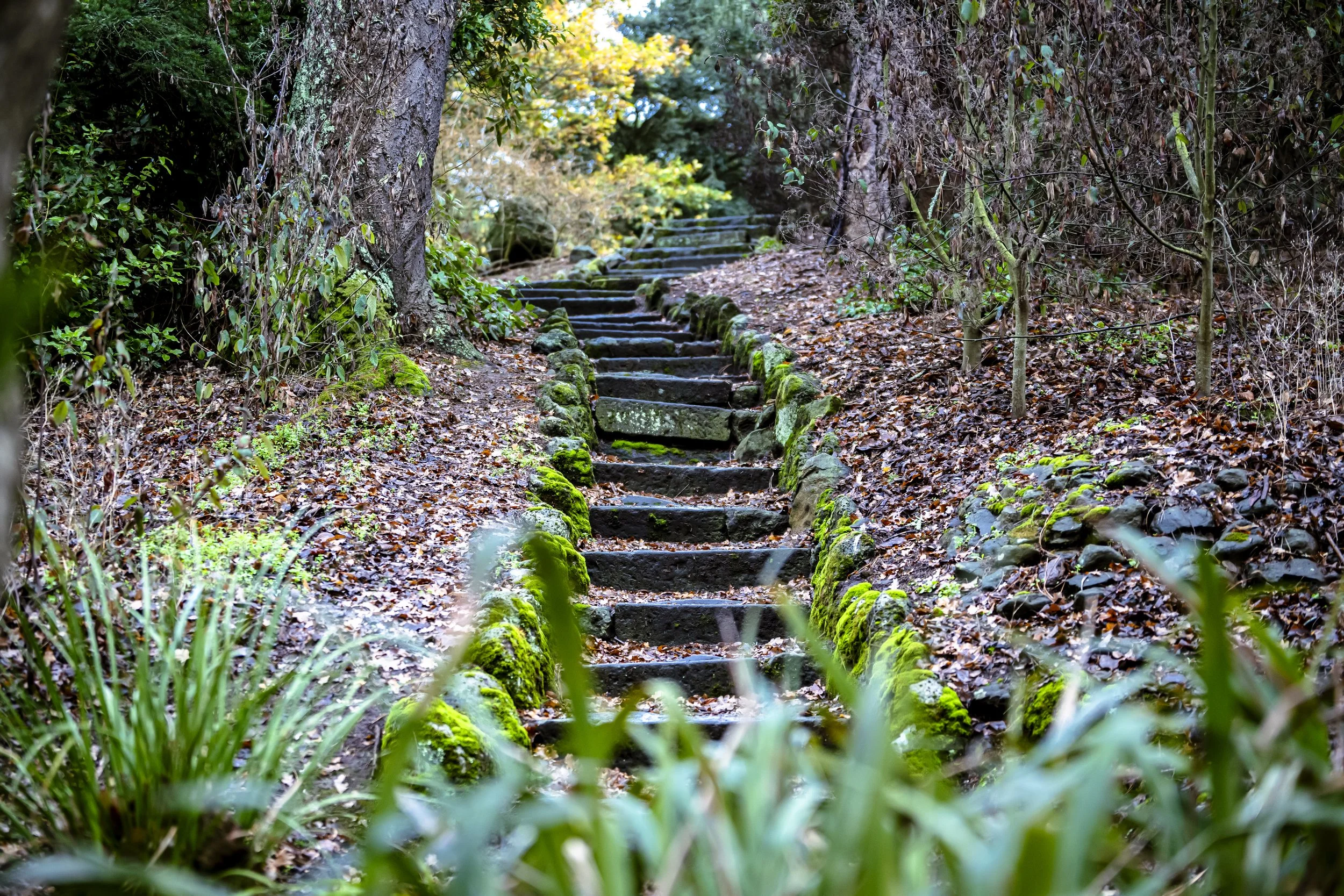 Kyneton_Botanical_008.jpg