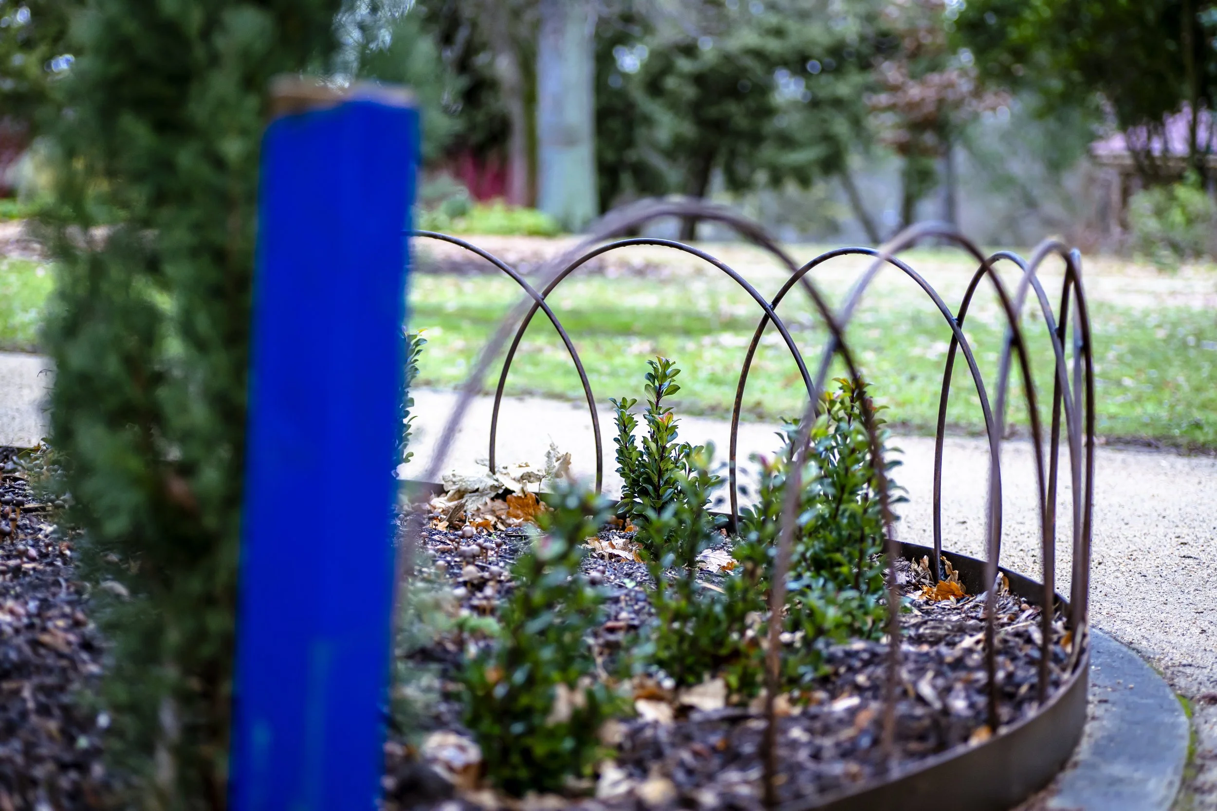 Kyneton_Botanical_010.jpg