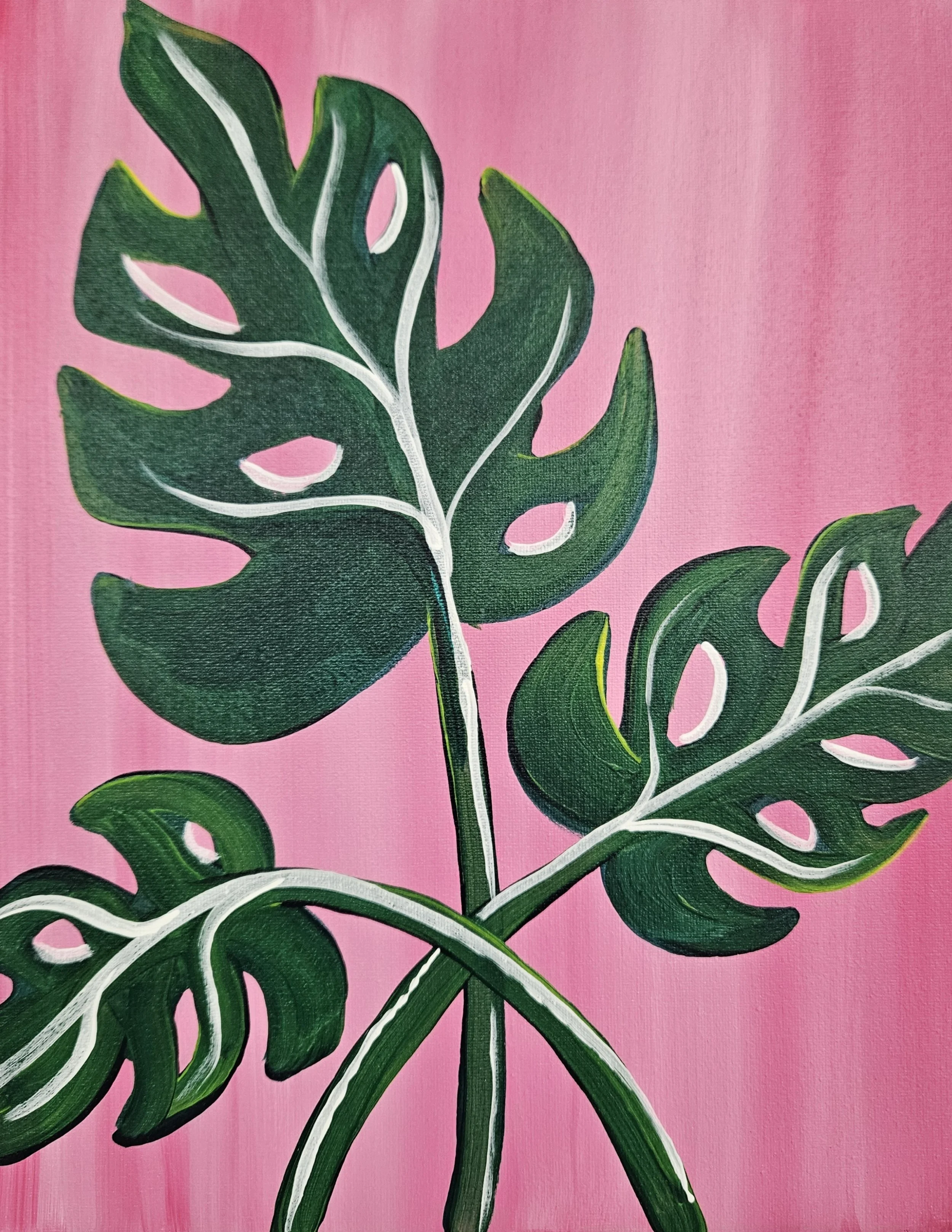 Monstera