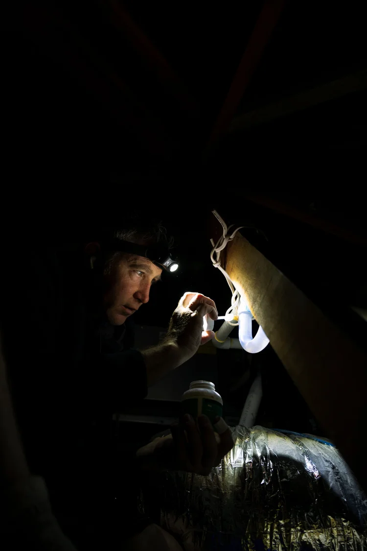 Linc Electrical electrician working in a ceiling space