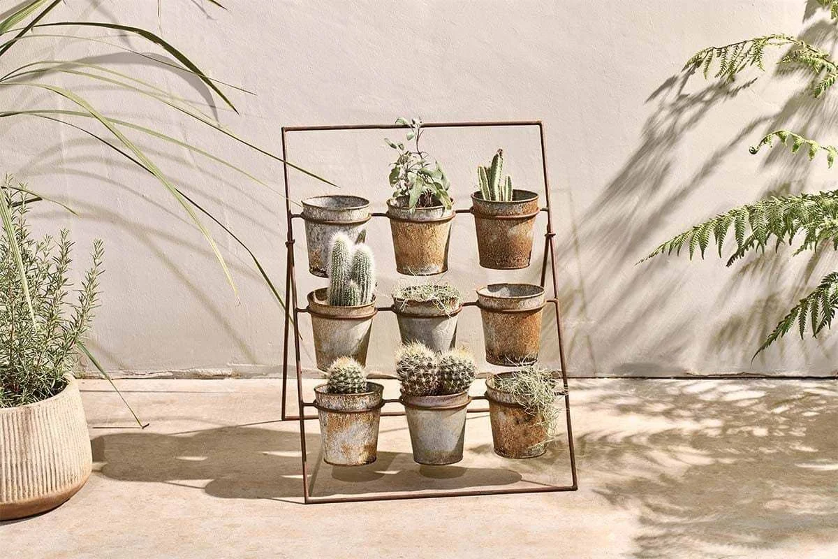 A metal stand holding nine small potted cacti and succulents against a beige wall, with shadows of nearby leaves cast on the ground and wall.
