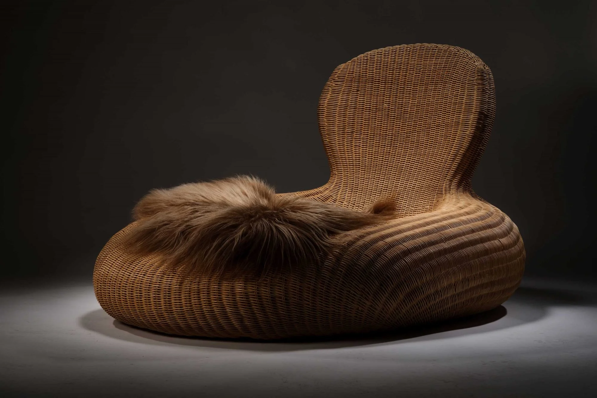 Biomorphic Storvik Lounge Chair