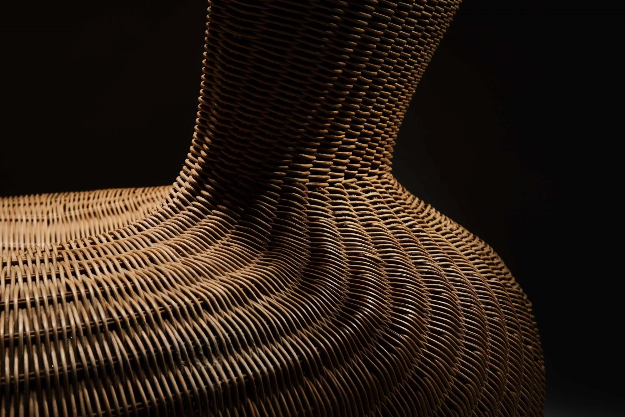 Biomorphic Storvik Lounge Chair