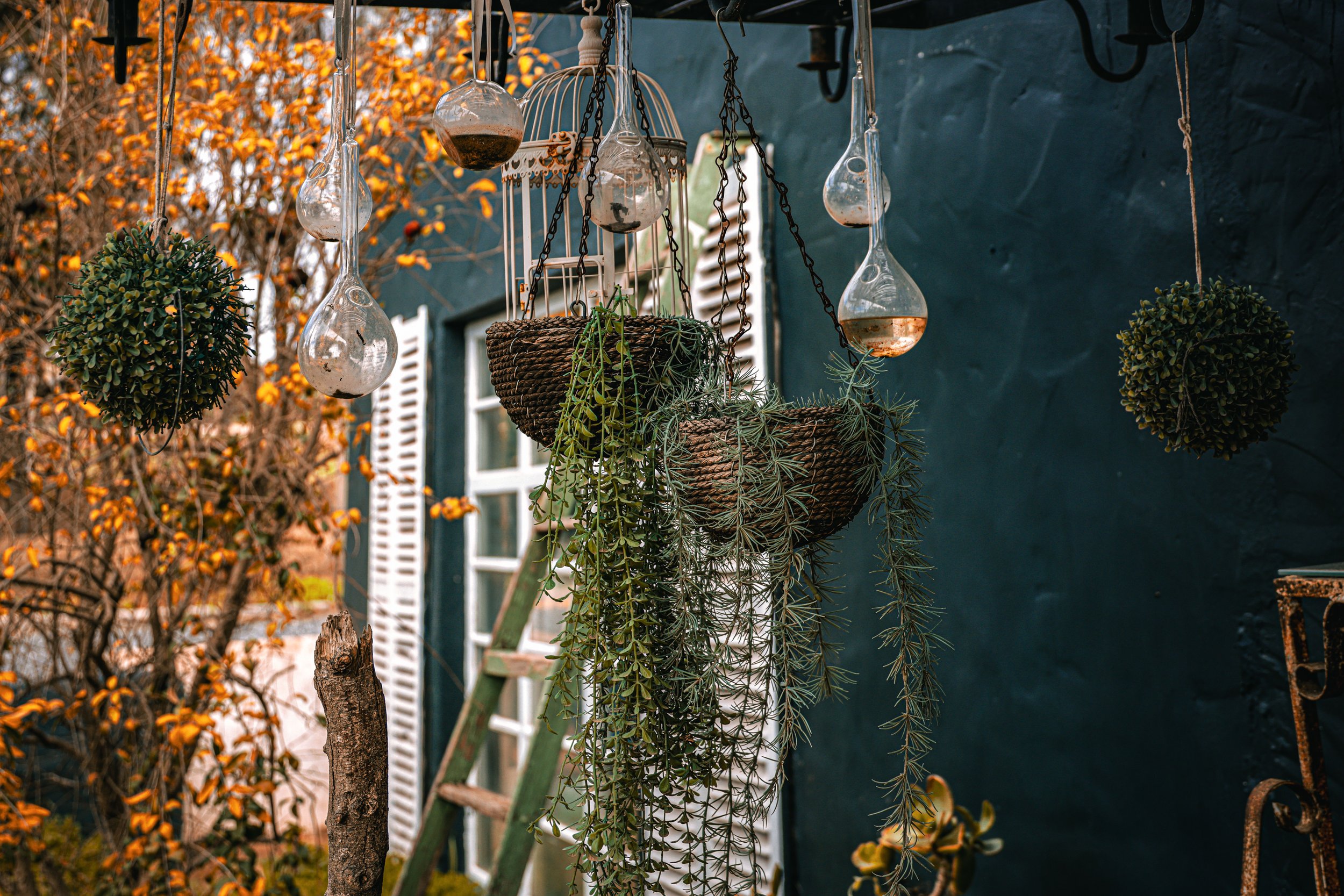 Hanging glass terrariums and potted plants ornament a porch or garden area, with a dark blue exterior wall and autumn foliage in the background.