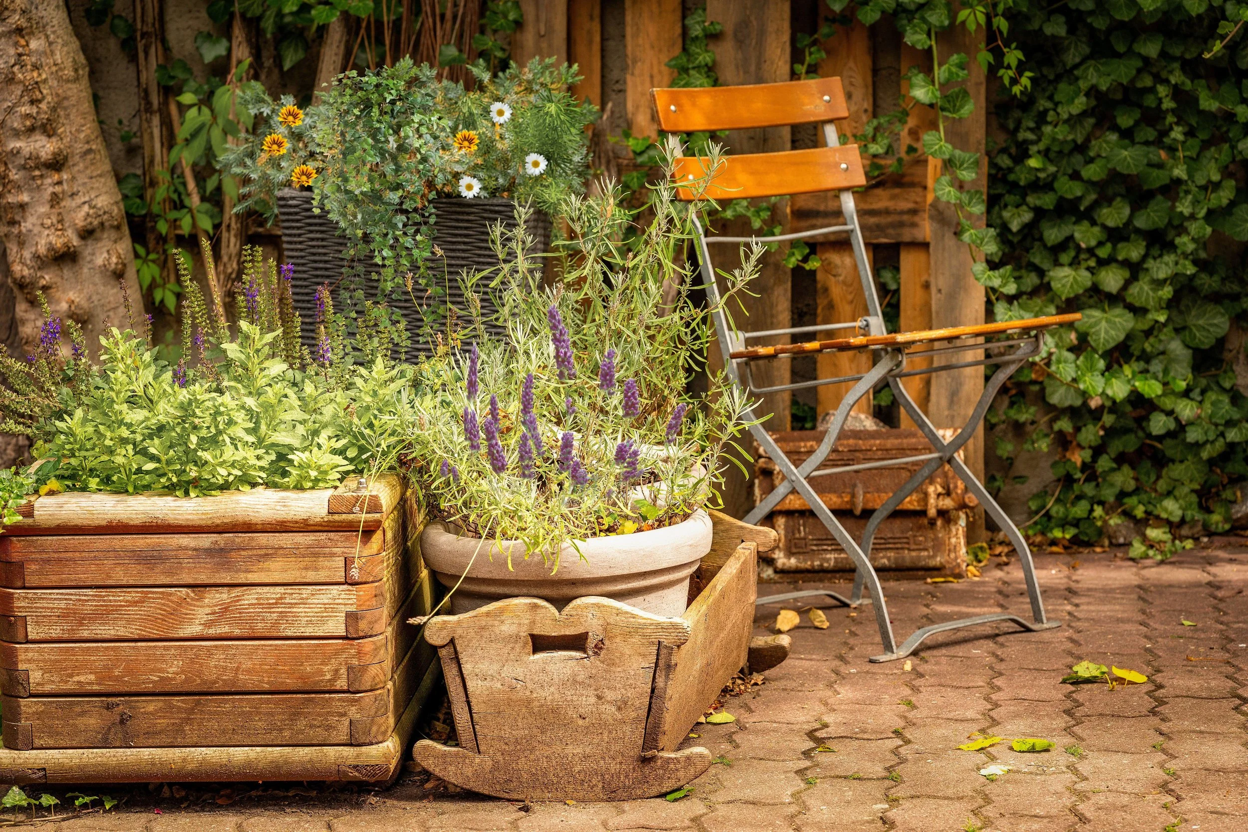 PLANNING YOUR GARDEN