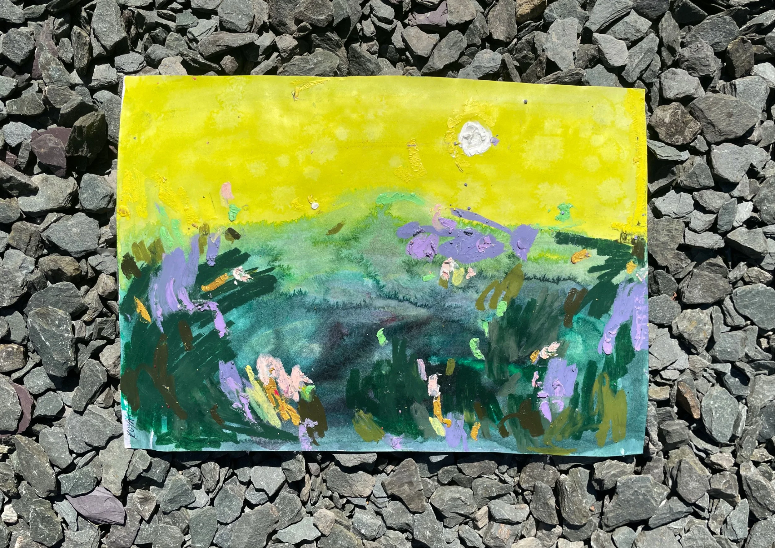 YELLOW SKYS McCOY.jpg
