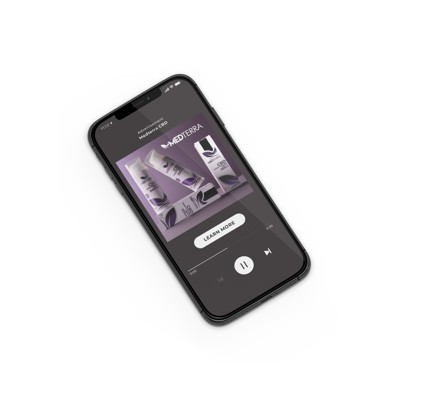 Spotify Ad Proposal.png