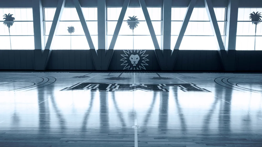 LMU Lions Practice Court - monotone