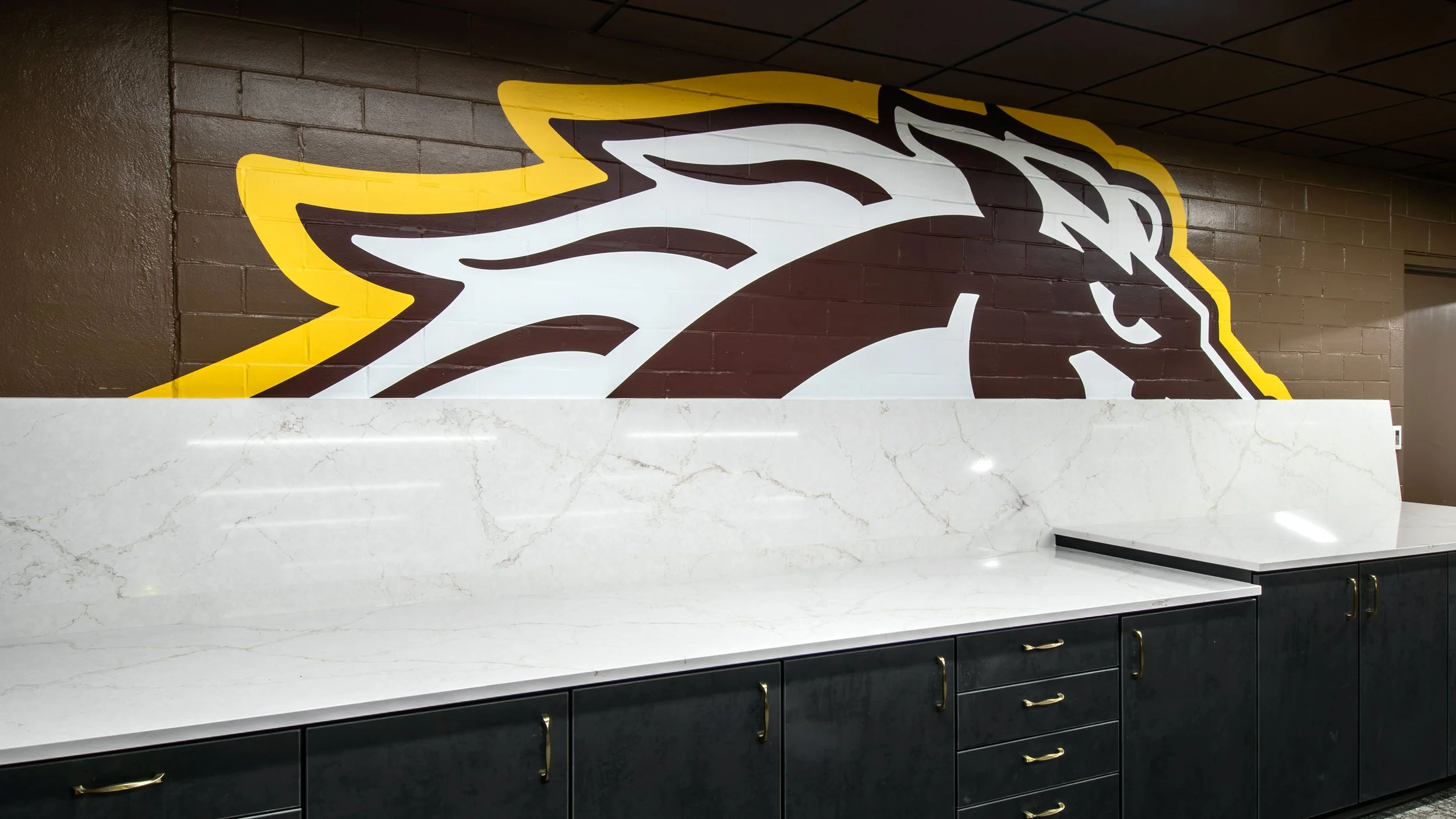 WMU_Football_AthleticTraining_Landscape_3.jpg
