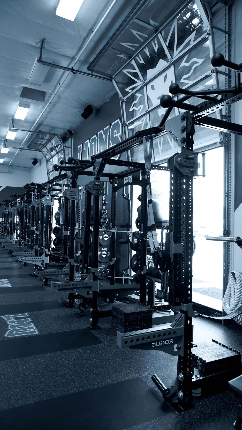LMU Lions Sports Performance Center - monotone