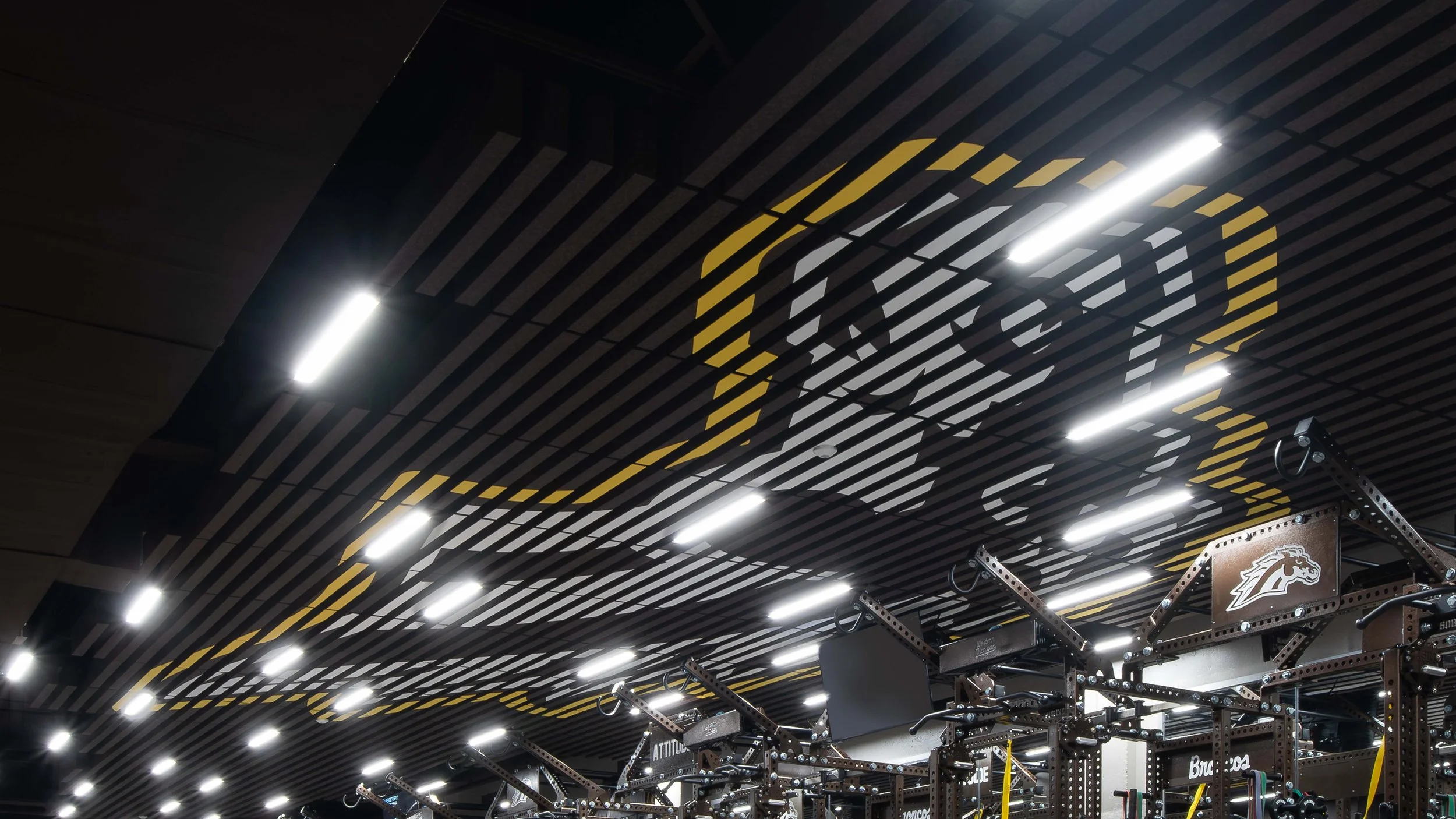 WMU_FBWeightRoom_Landscape_8@2x.jpg