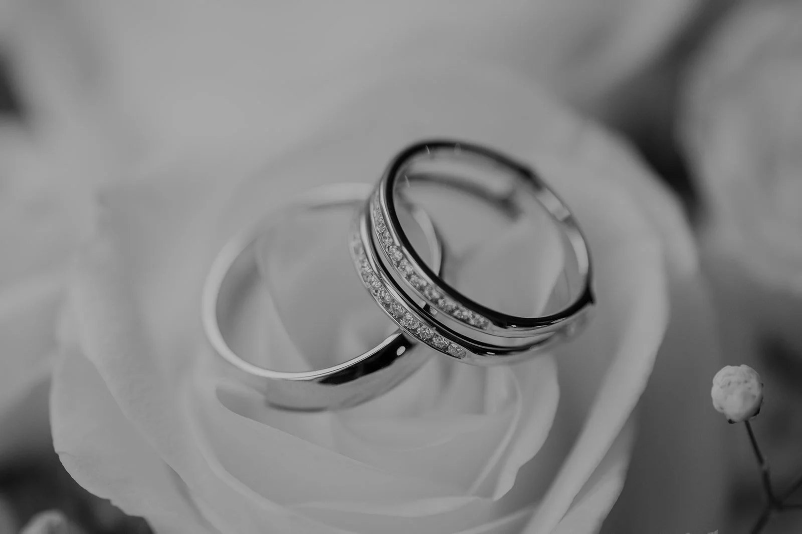 Emily + Marcello--15.jpg