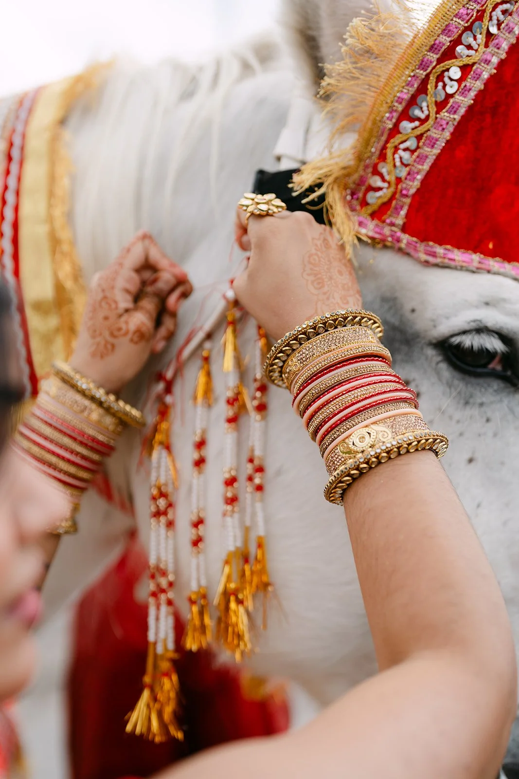 Prem&Akshata-12-479.jpg