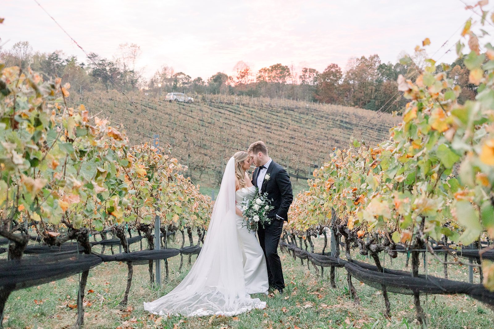 Julia & Justin_Photoshoot-703.jpg