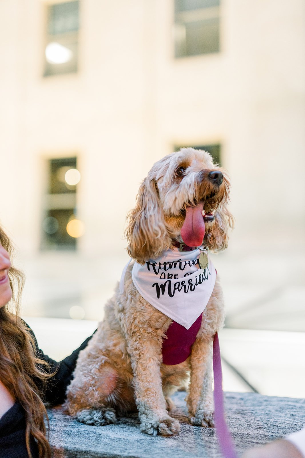 Rebecca + mark Engagement-113.jpg