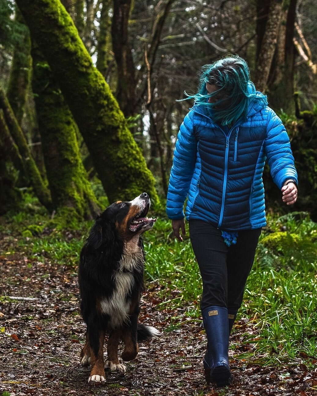 Spring walks with your best bud to shake off the late winter blues&hellip;. Nothing like it. 💙 #designedbyyou 📸: @matthew_tufts
