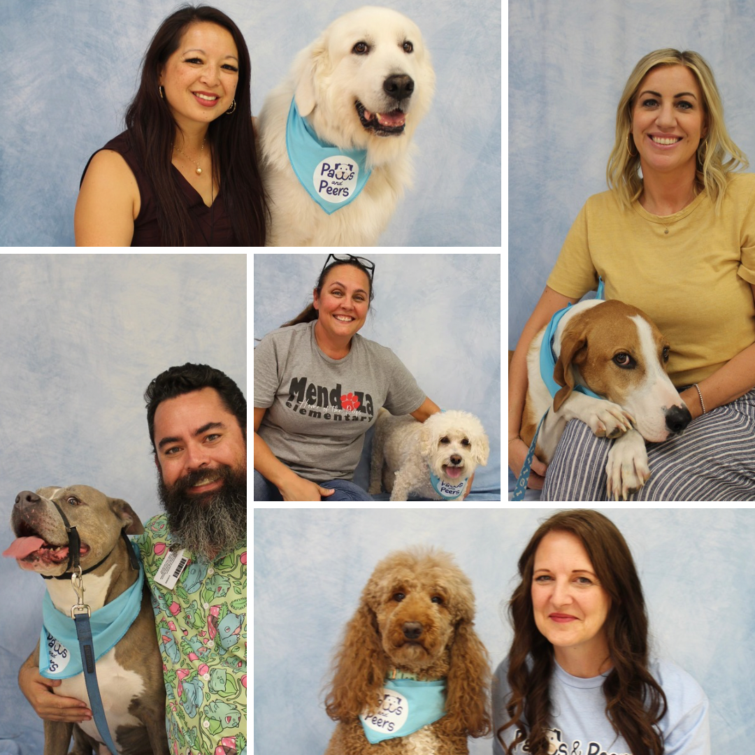 Programs We Support — Paws & Peers Foundation