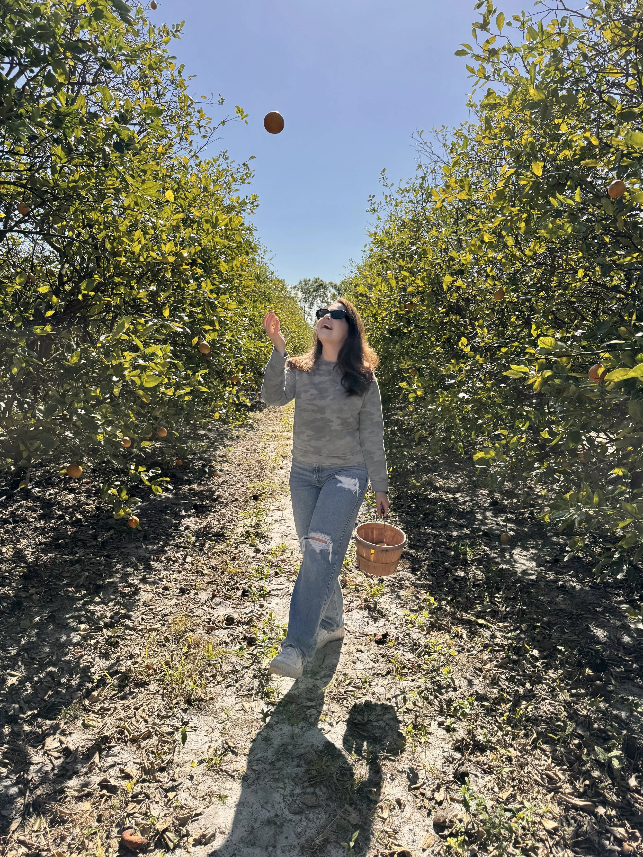 Woman in sunglasses and ripped jeans throwing an orange from grove, holding a small basket, with trees and blue sky.