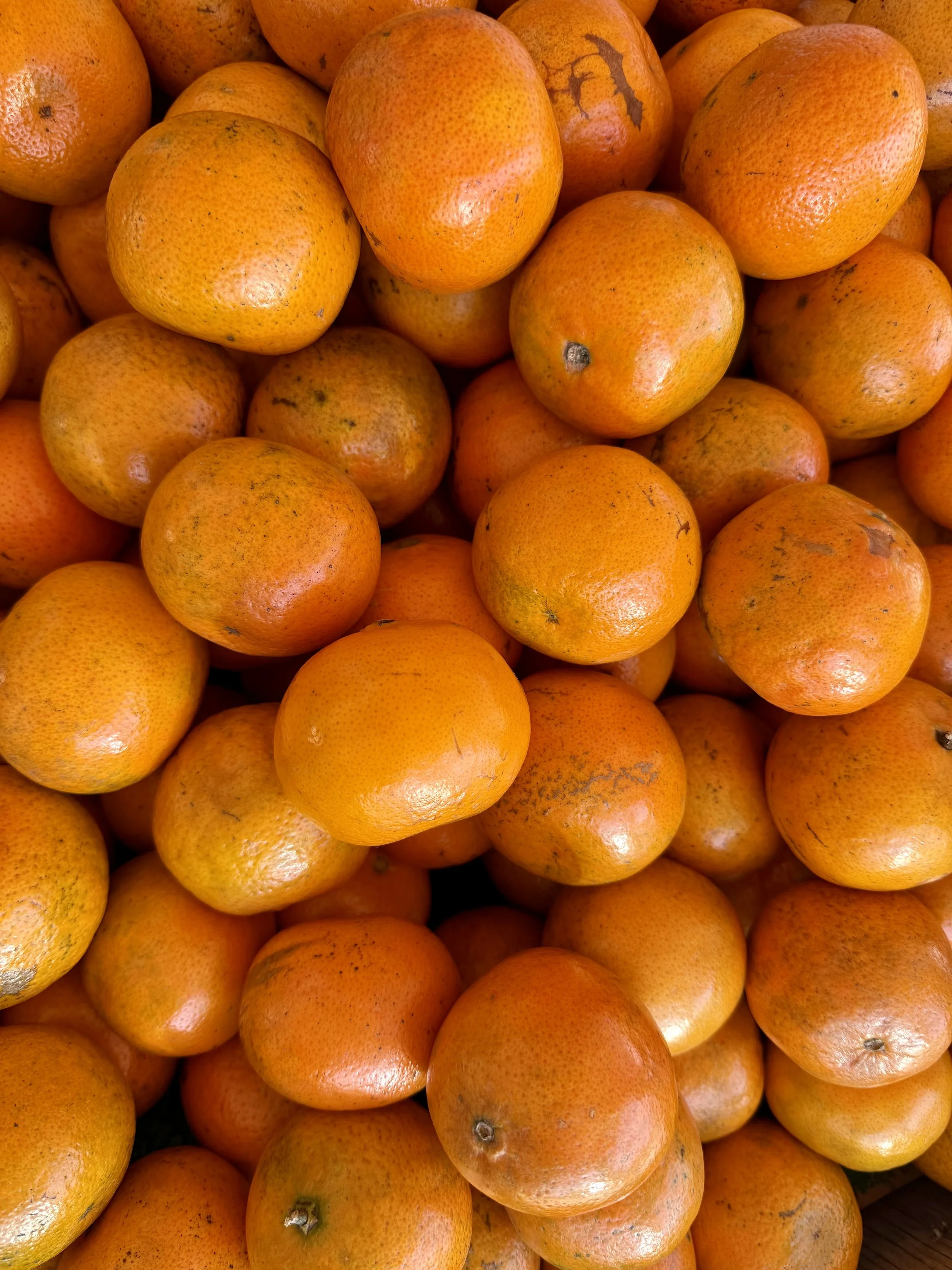 A large pile of fresh oranges with bright orange skin, some with slight blemishes or scars.