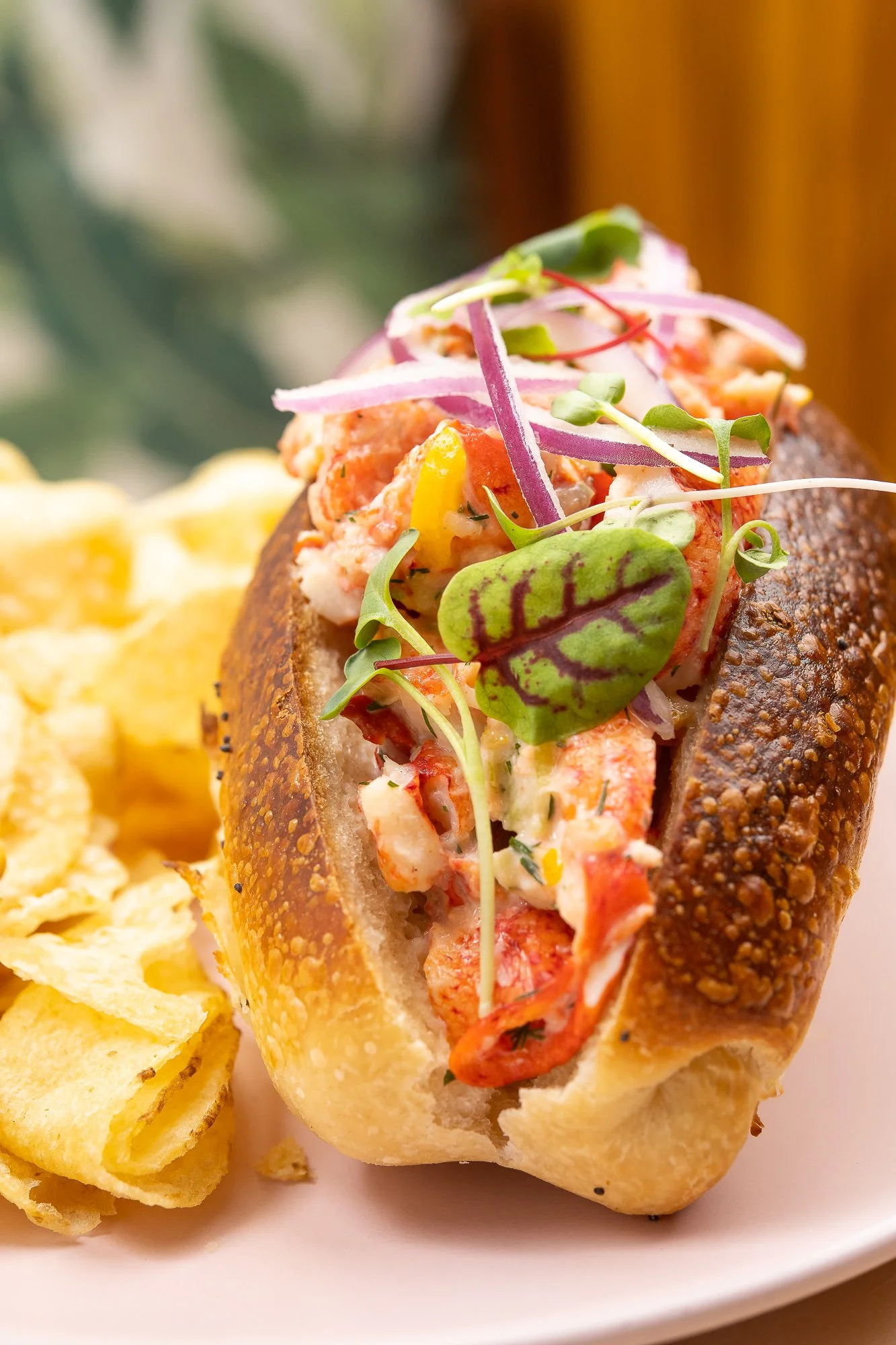 2021 04 03_TheCocktailShaker_CasaFlorida_WR-57.jpg