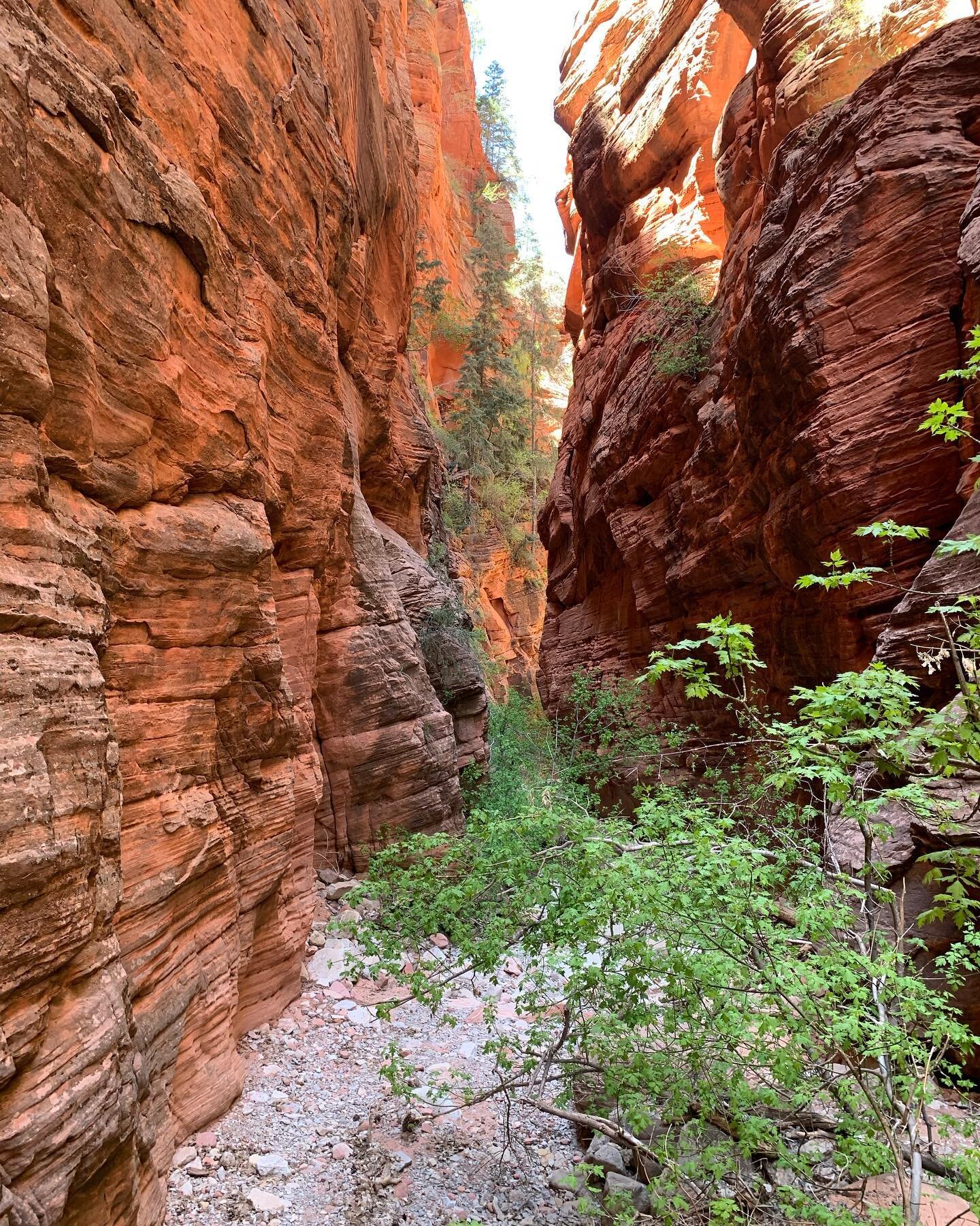 Friends I host a free womens hike each month here in Southern Utah. It is open to anyone who would like to join and make some new friends, enjoy the beauty of southern Utah and explore new hikes. Our next hike is this Saturday at 10 am. Message me if