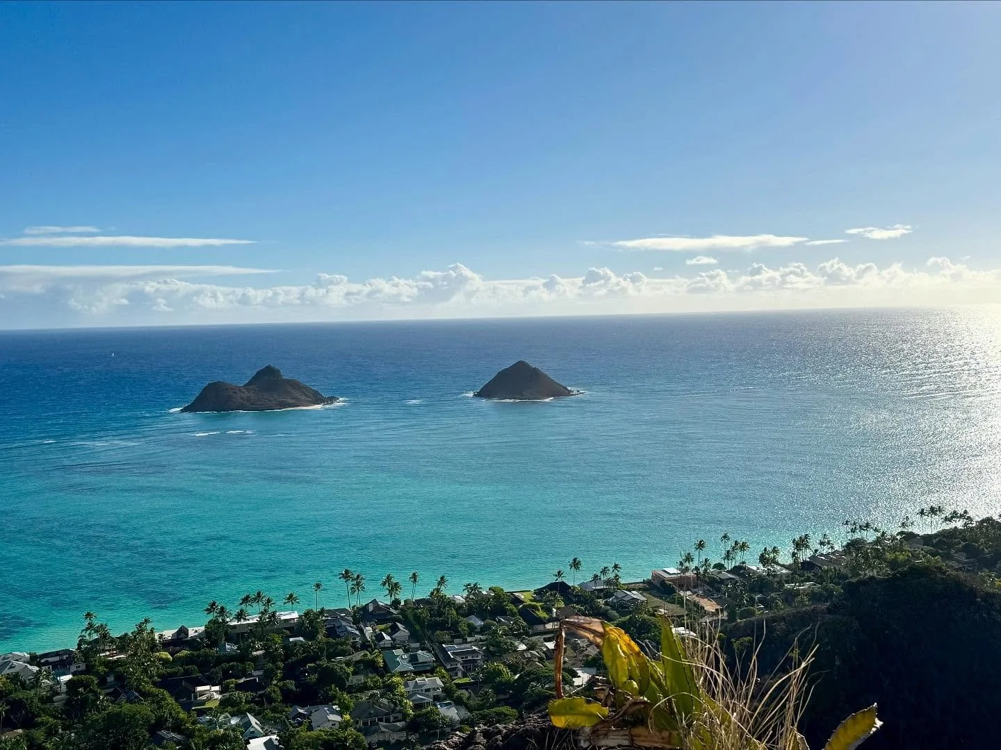 My hike today was steep, slick, and absolutely stunning. The ocean shimmered in every shade of turquoise, the sun was warm, and Millie soaked up all the love along the way. Met some kind souls from Korea here studying English. Enjoyed a refreshing sw