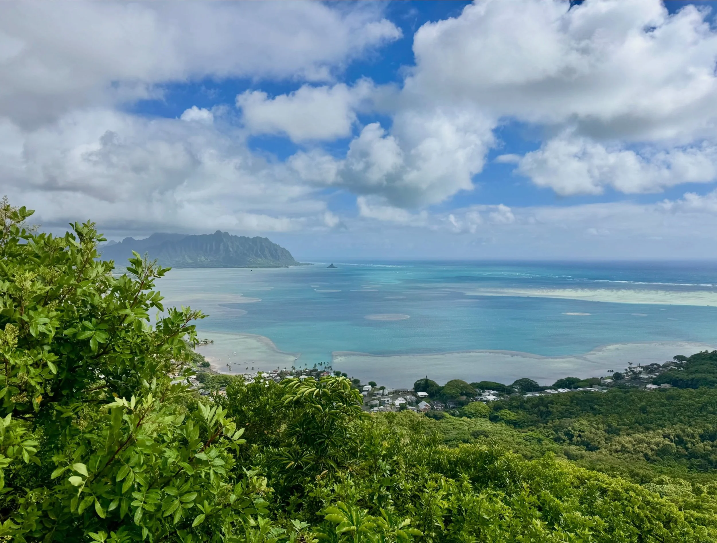 Started the day on the trail with good friends and breathtaking views. Every hike reminds me how much wisdom, beauty, and peace can be found in nature. Feeling deeply grateful for this island and all the magic it holds. 🌺⛰️