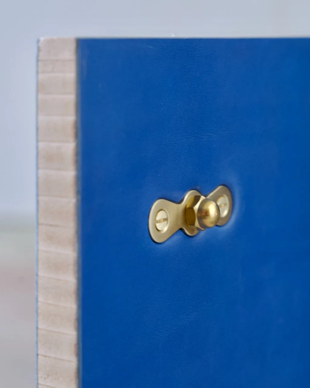 EOS_Bulbe_Side - 2.jpeg