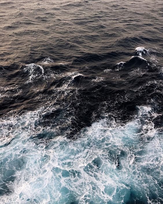 Co-authored blog post/article on Savoir Faire Beauty