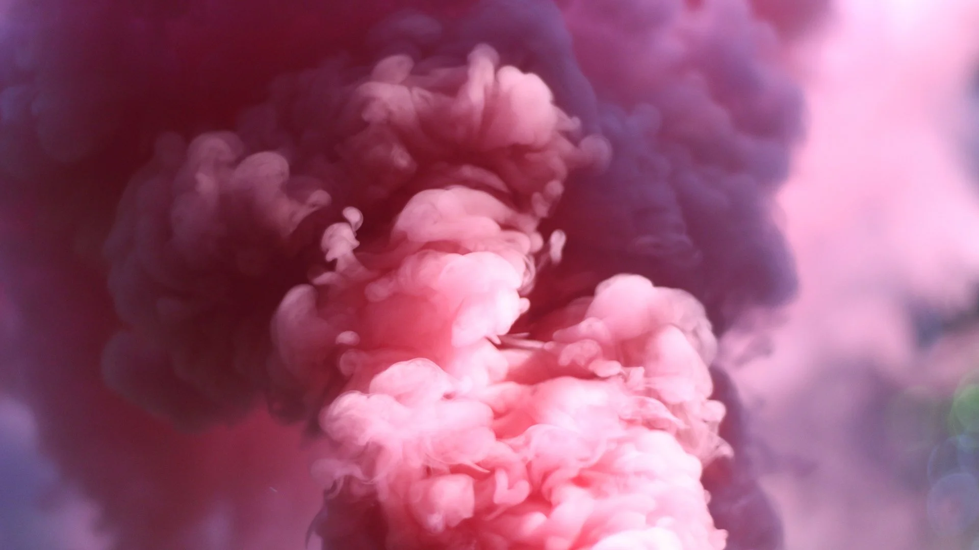 New L’Amour Website is Here!