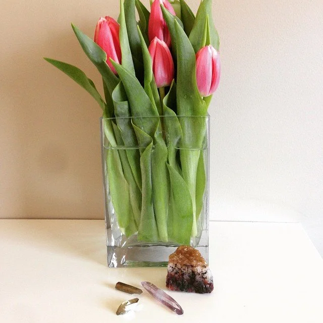 A Capsule Approach to Eco-Beauty: Holiday Gift Ideas, Lifestyle Edition