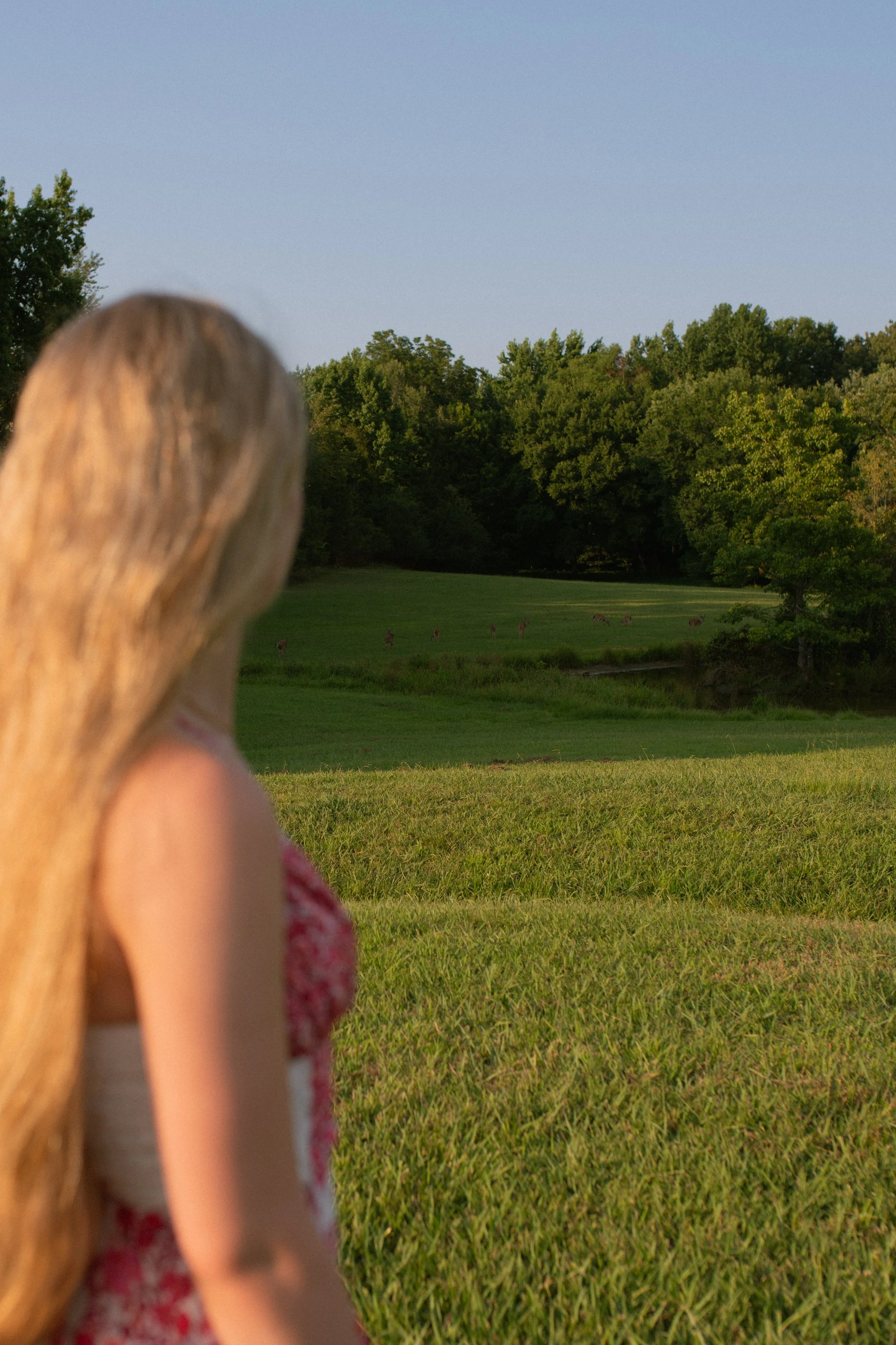 7-12-2024- Carlee Senior Photos-6.jpg