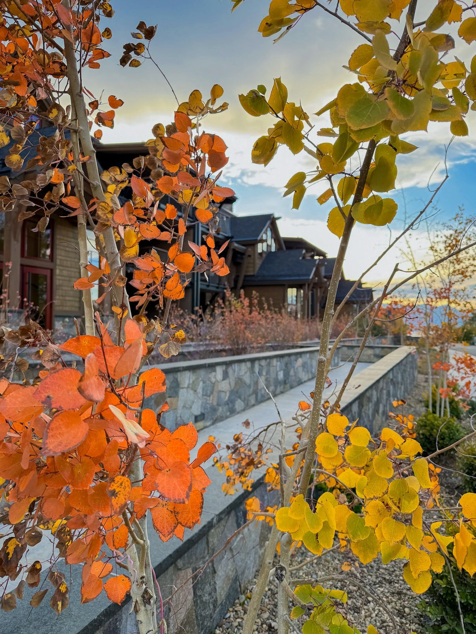 Fall into Fun