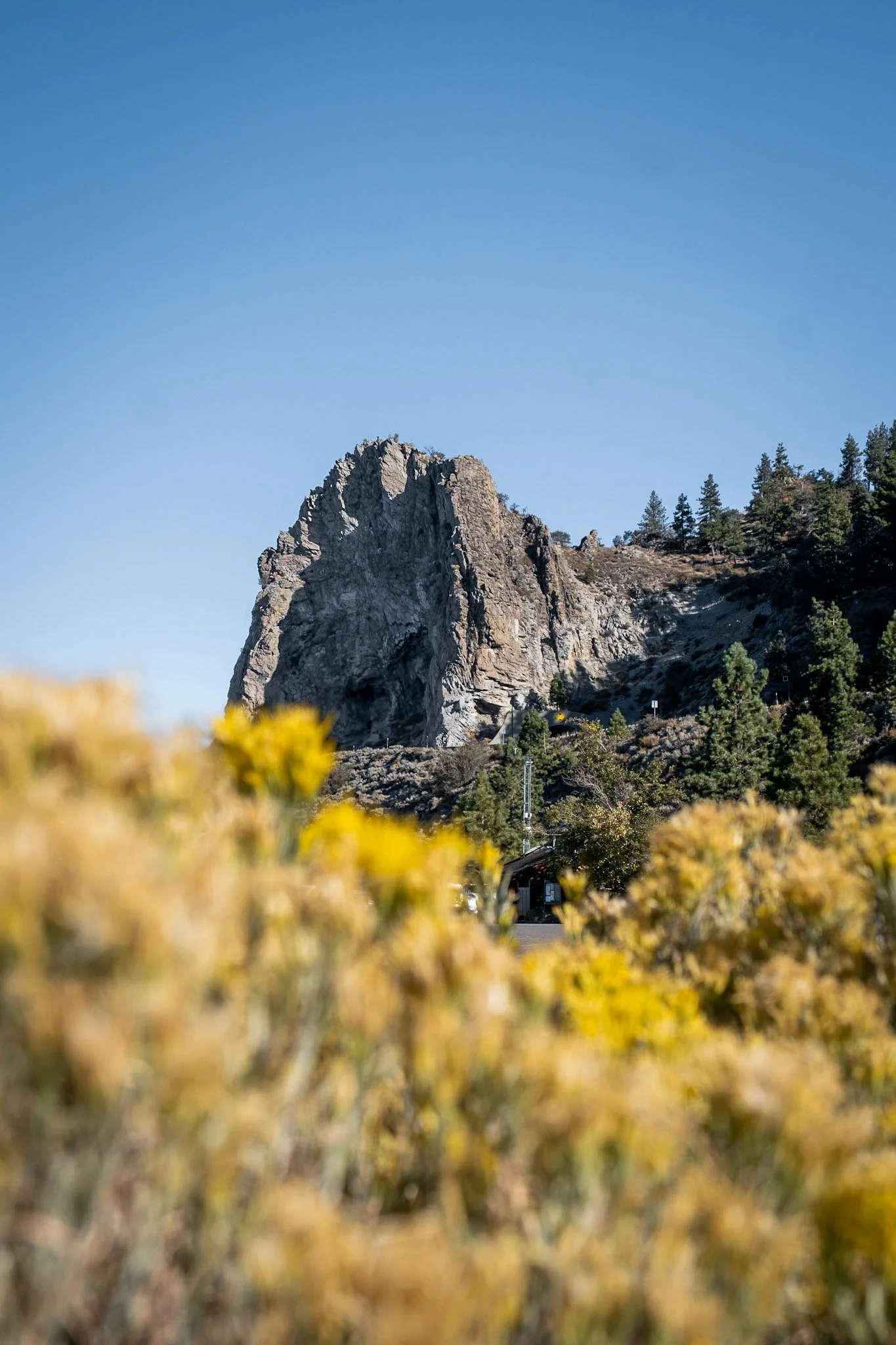 TBC_Photo_Landscapes (Off-Property)_Year-Round_edited_TBC_20231028_0228.jpg