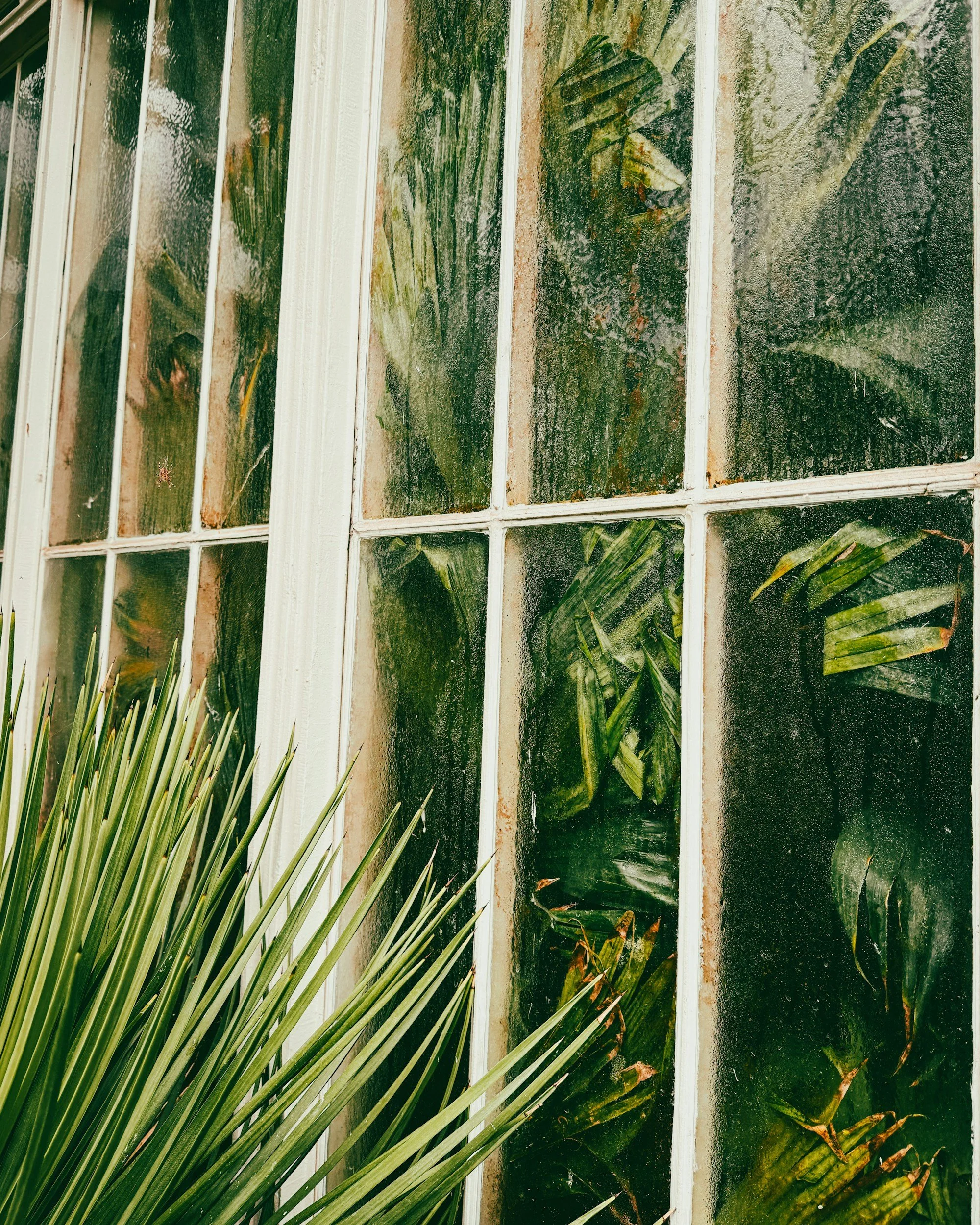 Humidity Control in Birmingham, Alabama Homes: A Complete HVAC Guide