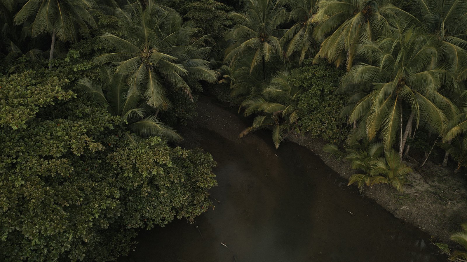 DJI_0010 2.jpg