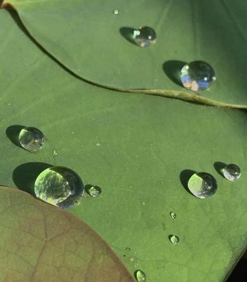 How to save water (in simple yet impactful ways)