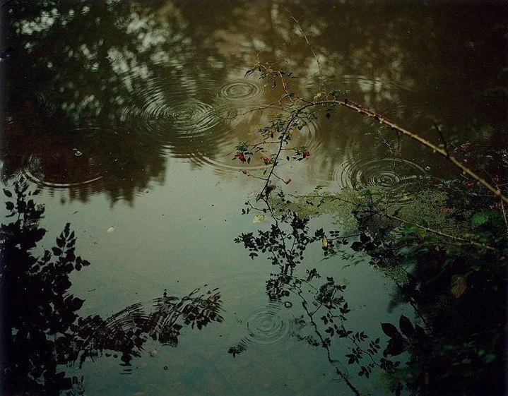 Restoring the land, reimagining water access