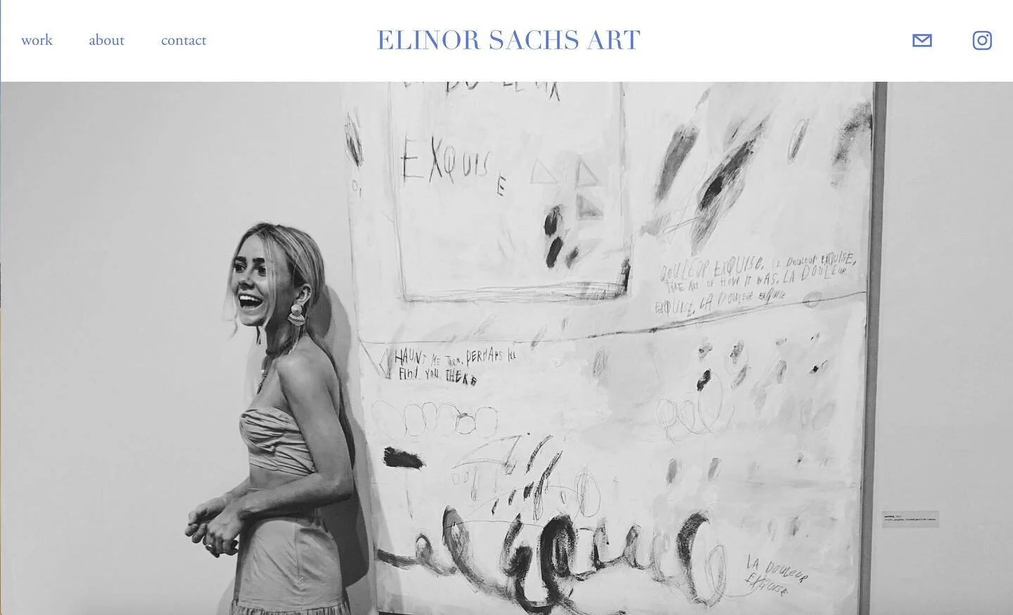 website is live !!!!!!
http://www.elinorsachsart.com/