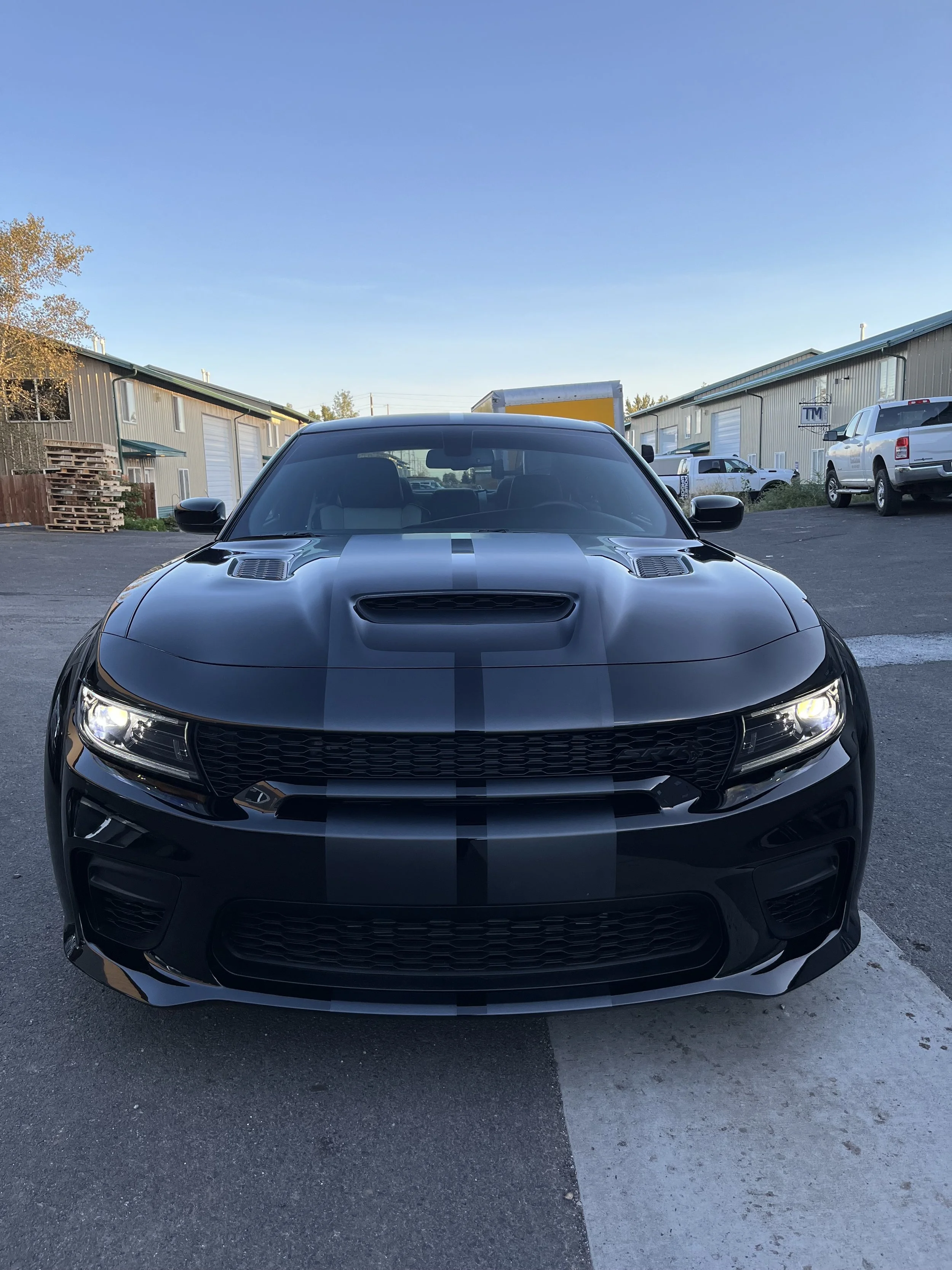 Black sports car with silver racing stripes, front view, parked outdoors on pavement, residential and industrial buildings in the background, clear sky.