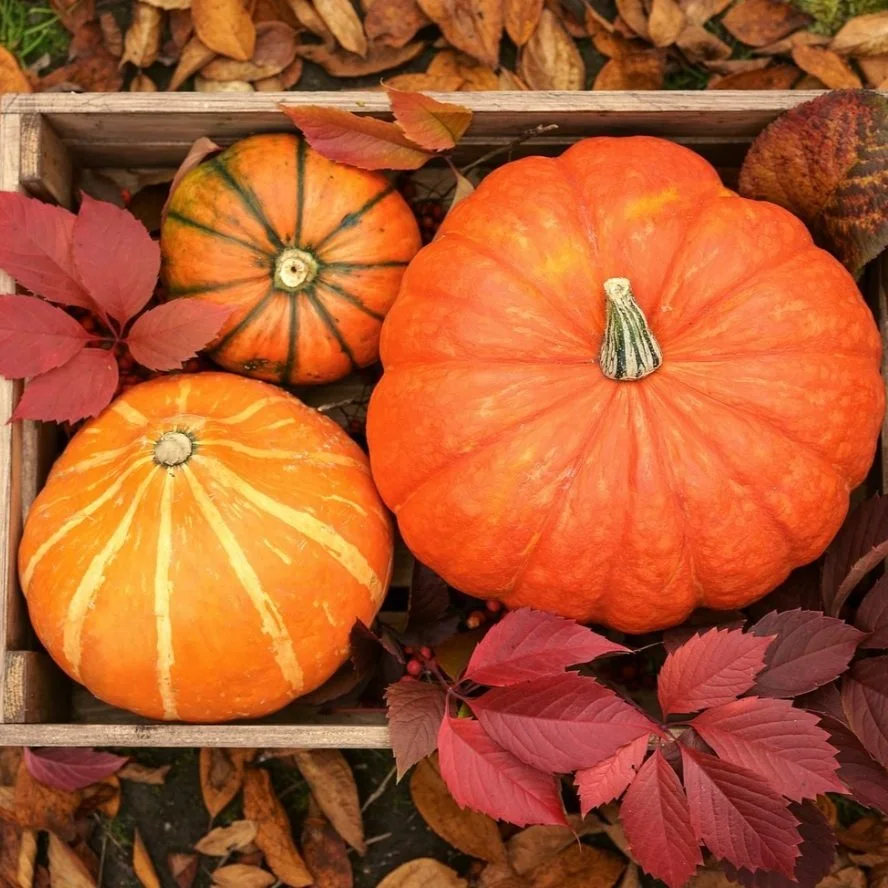 Fall-o-ween