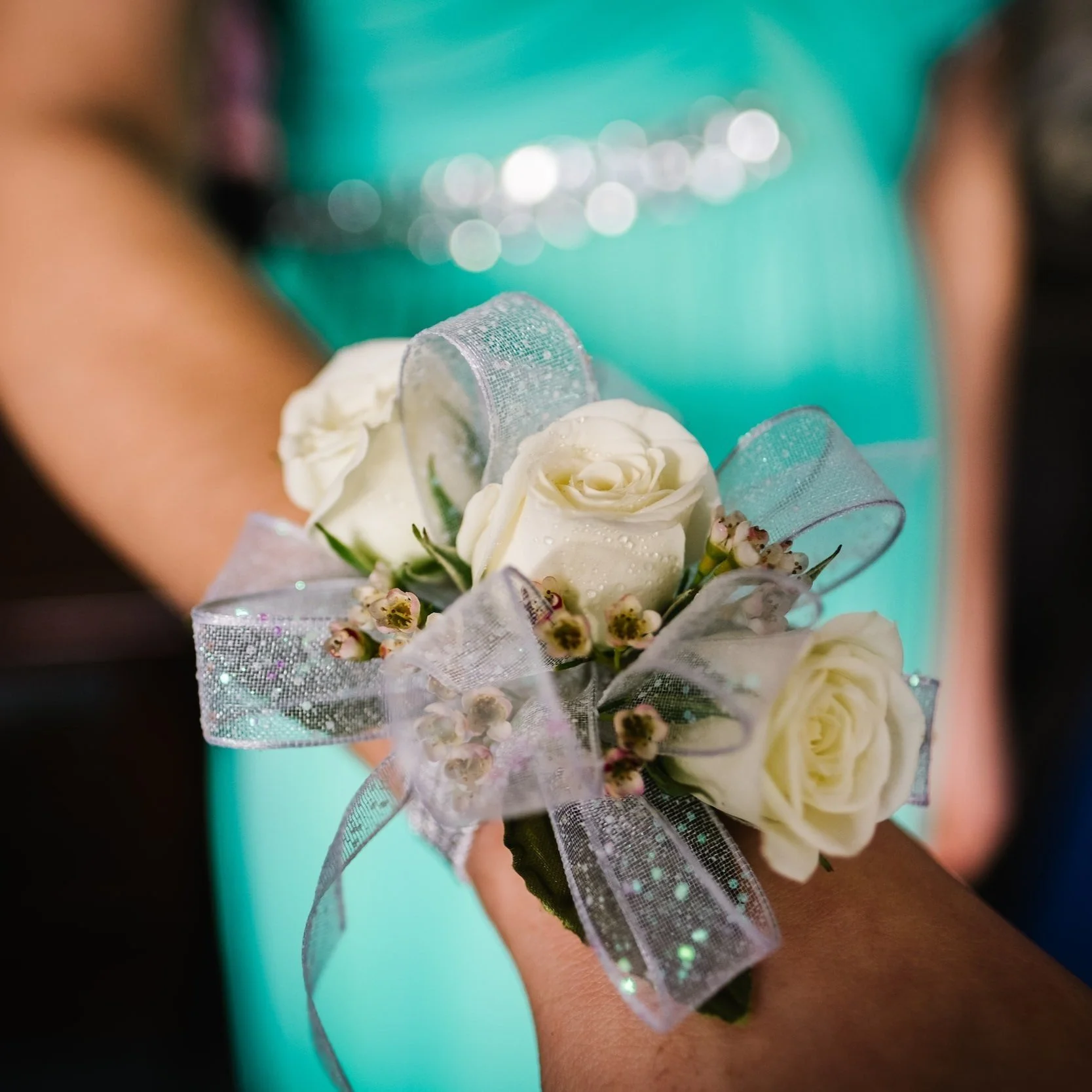 Annual Project Prom Gown Giveaway Begins March 25th